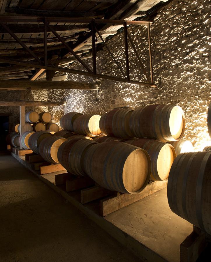 Maison Le Sepe - Vignoble Bio Et Maison D'Hotes Sainte-Radegonde  Kültér fotó
