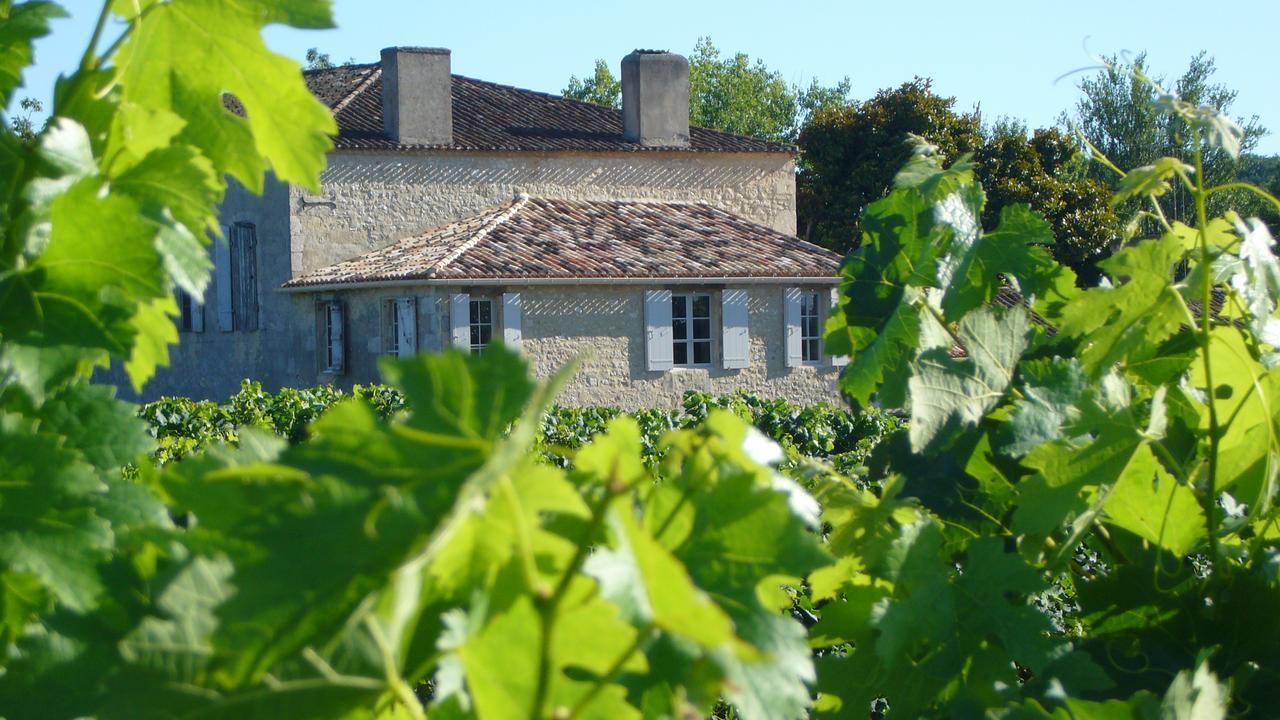 Maison Le Sepe - Vignoble Bio Et Maison D'Hotes Sainte-Radegonde  Kültér fotó